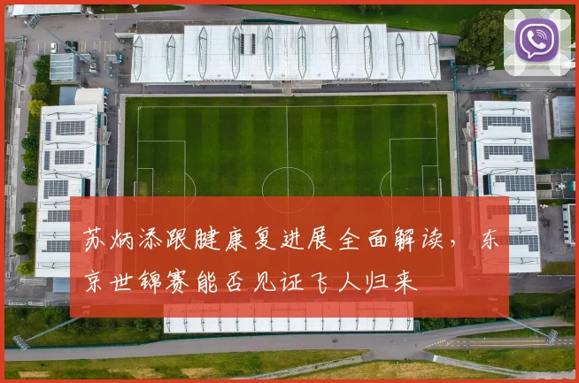 苏炳添跟腱康复进展全面解读，东京世锦赛能否见证飞人归来