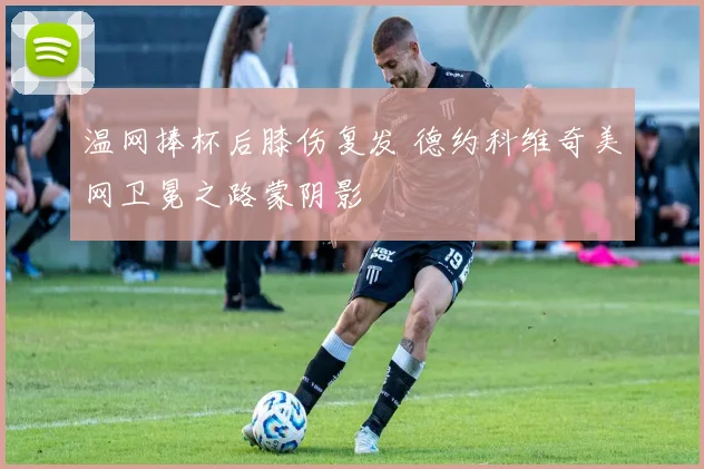 温网捧杯后膝伤复发 德约科维奇美网卫冕之路蒙阴影