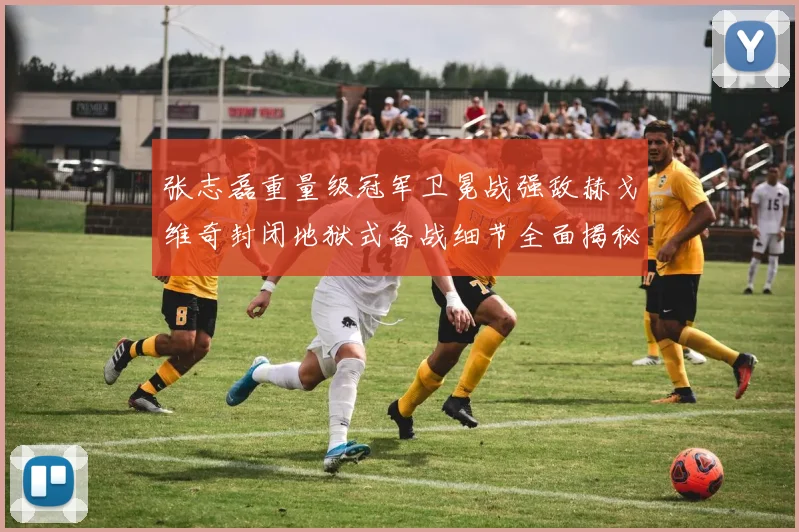 张志磊重量级冠军卫冕战强敌赫戈维奇封闭地狱式备战细节全面揭秘