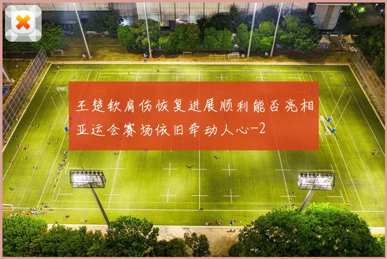 王楚钦肩伤恢复进展顺利能否亮相亚运会赛场依旧牵动人心