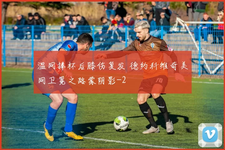 温网捧杯后膝伤复发 德约科维奇美网卫冕之路蒙阴影