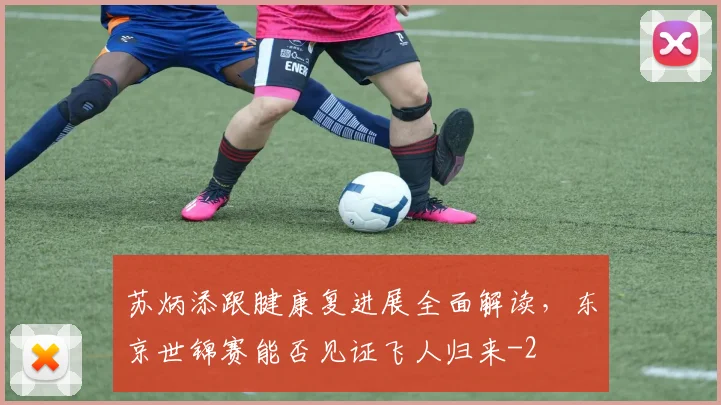 苏炳添跟腱康复进展全面解读，东京世锦赛能否见证飞人归来